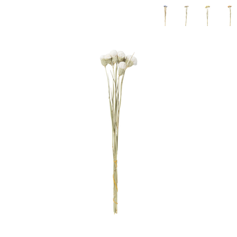 Xenos Droogbloemen - diverse varianten - 38 cm