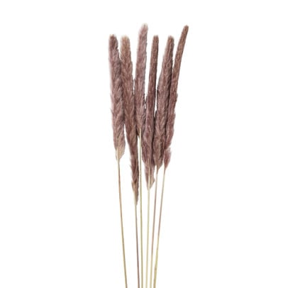 Pluim smal - 6 stuks - 70 cm