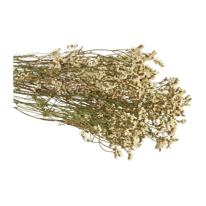 Gipskruid gedroogd - wit - 65 cm