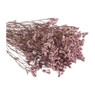 Droogbloem gipskruid - roze - 65 cm