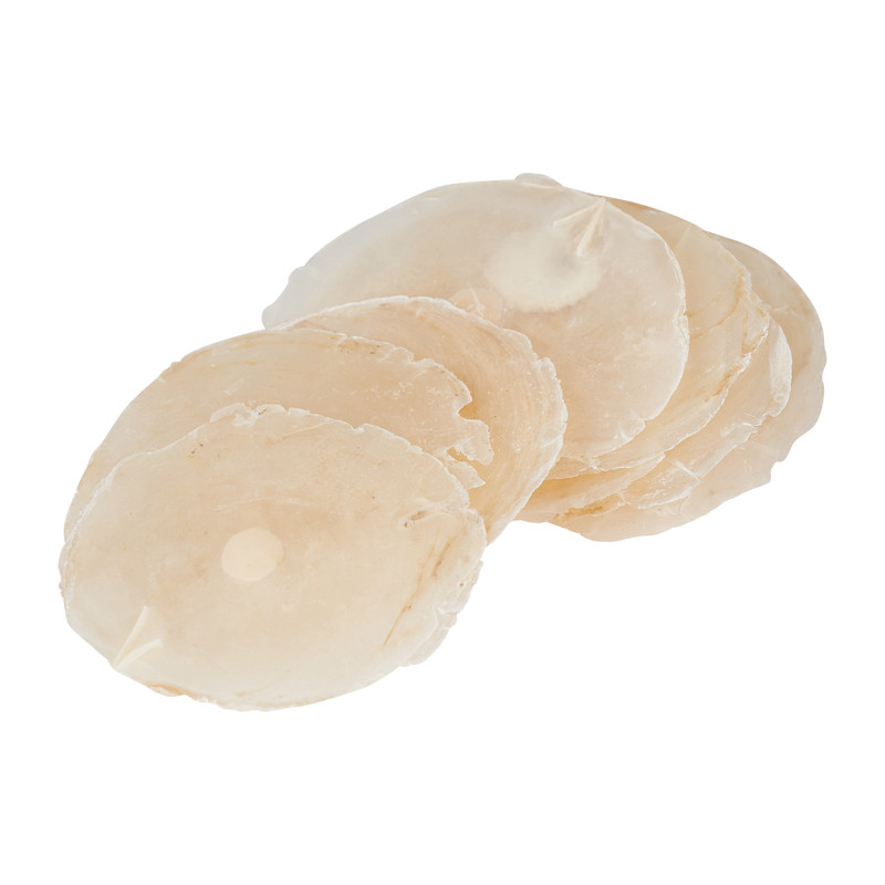 Schelp capiz - wit - 100 gram 