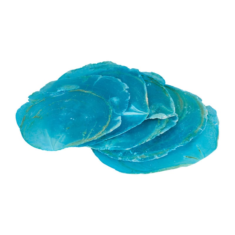 Schelp capiz - blauw - 100 gram 