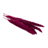 Pluim - bordeaux - 60 cm 
