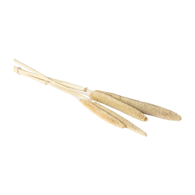 Babala - naturel - 70 cm