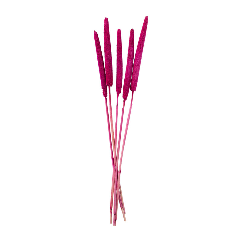 Babala - fuchsia - 70 cm