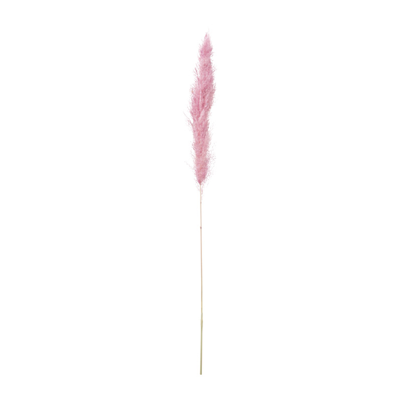 Pampas - oud roze - 115 cm
