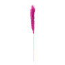 Pampas - fuchsia - 115 cm