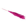 Pampas - fuchsia - 115 cm