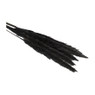 Droogbloem - Pluim small - zwart - 75 cm