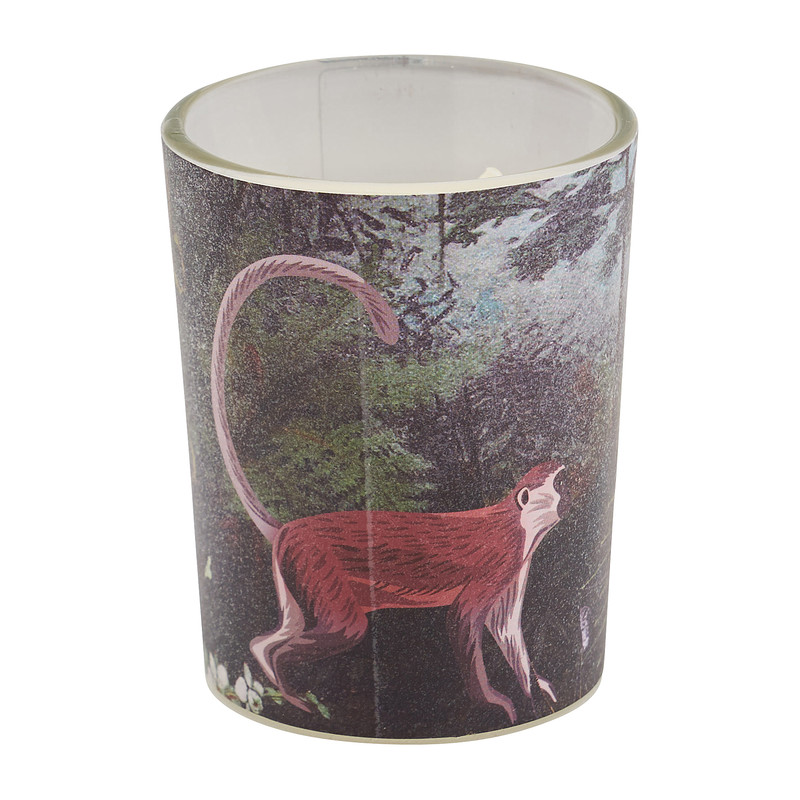 Kaars in glas jungle - set van 3