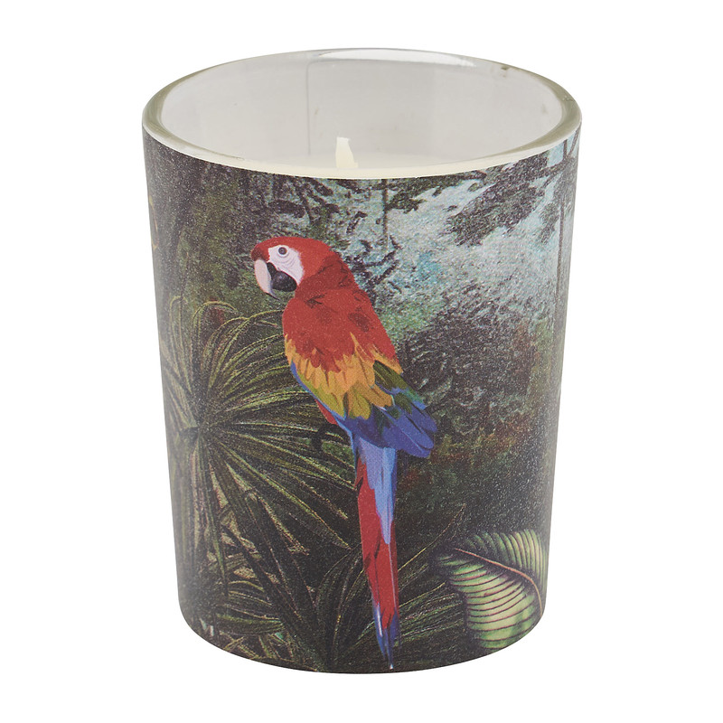 Kaars in glas jungle - set van 3
