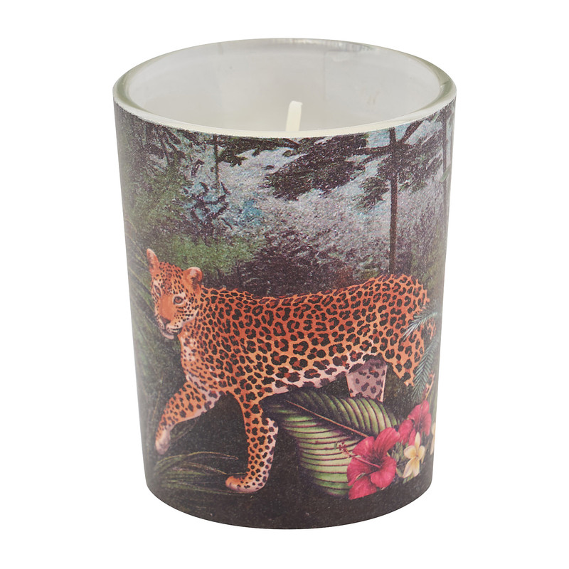 Kaars in glas jungle - set van 3