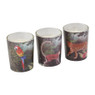 Kaars in glas jungle - set van 3