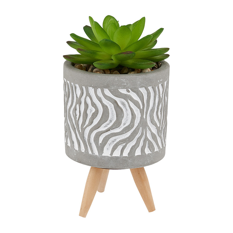 Plantje in potje van cement  - diverse varianten