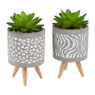 Plantje in potje van cement  - diverse varianten