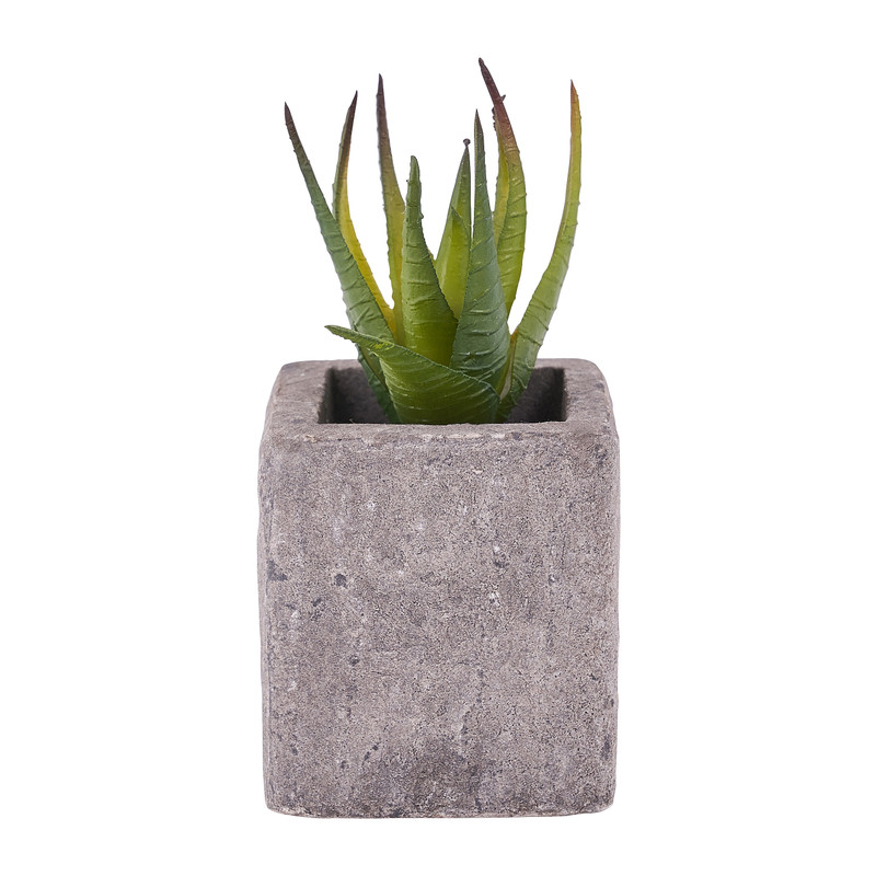 Kunstplantje in pot met magneet - diverse varianten