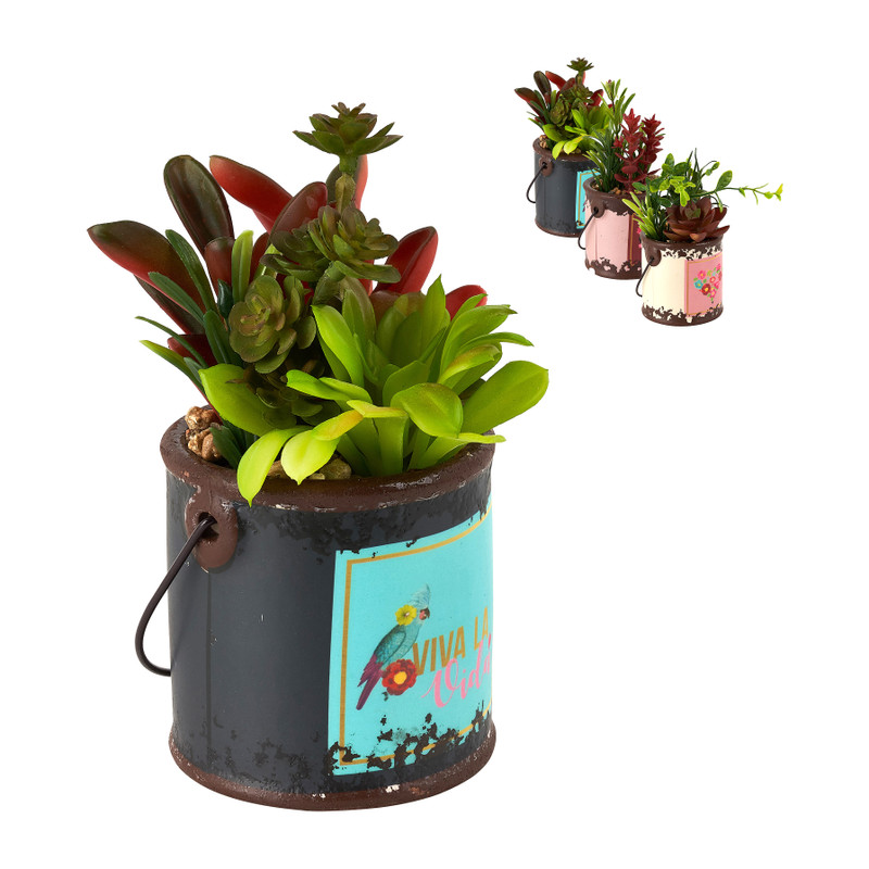 Plantje in blikje - verschillende soorten