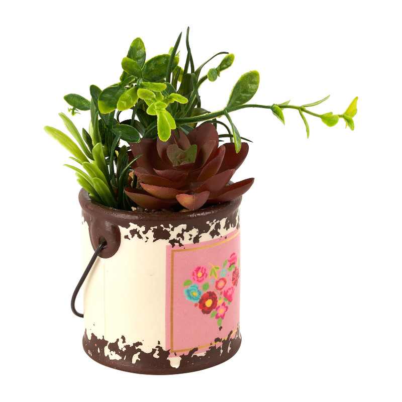 Plantje in blikje - verschillende soorten