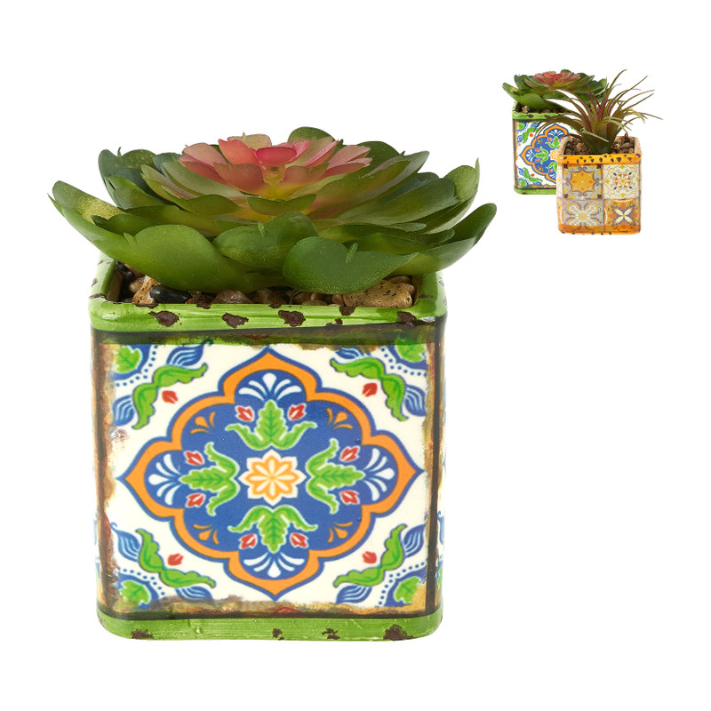 Plantje in gekleurd potje - verschillende soorten