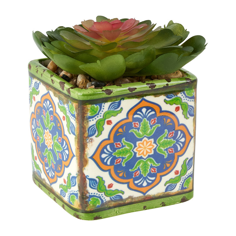 Plantje in gekleurd potje - verschillende soorten