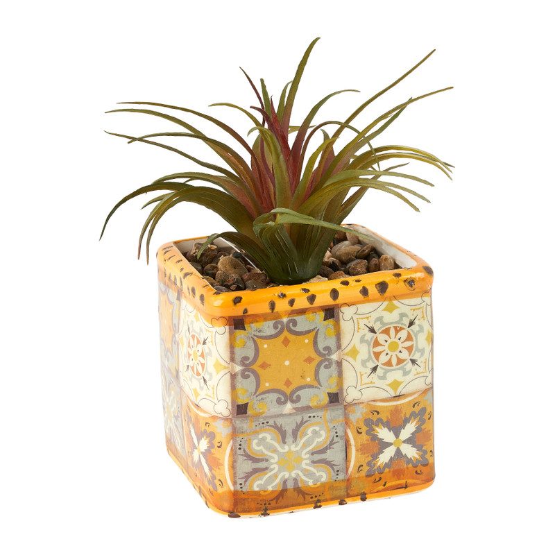 Plantje in gekleurd potje - verschillende soorten