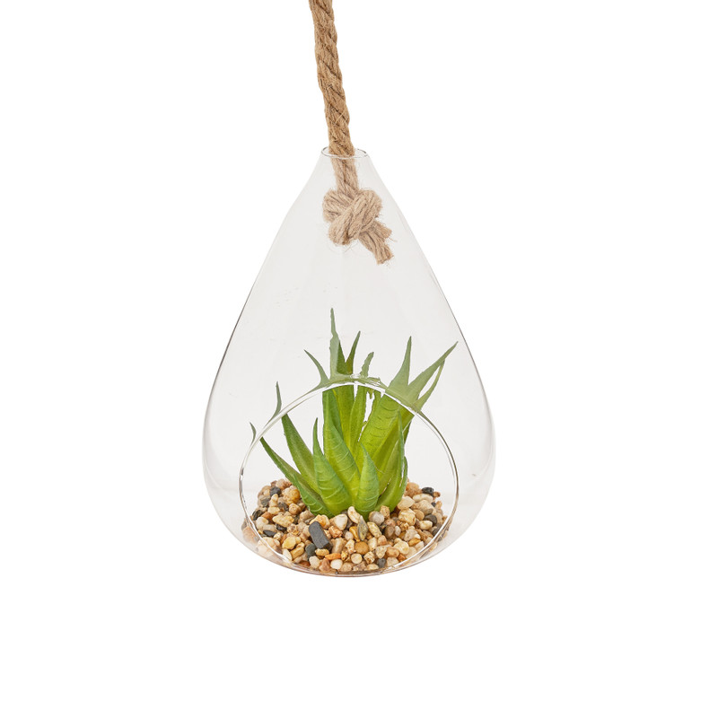 Plant in glazen hanger - diverse varianten - 12x11x19 cm