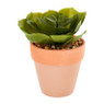 Kunstplantje in terra pot - diverse varianten - Ø7x6,5 cm