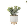 Kunstplantje in keramiek potje - ⌀10x22 cm