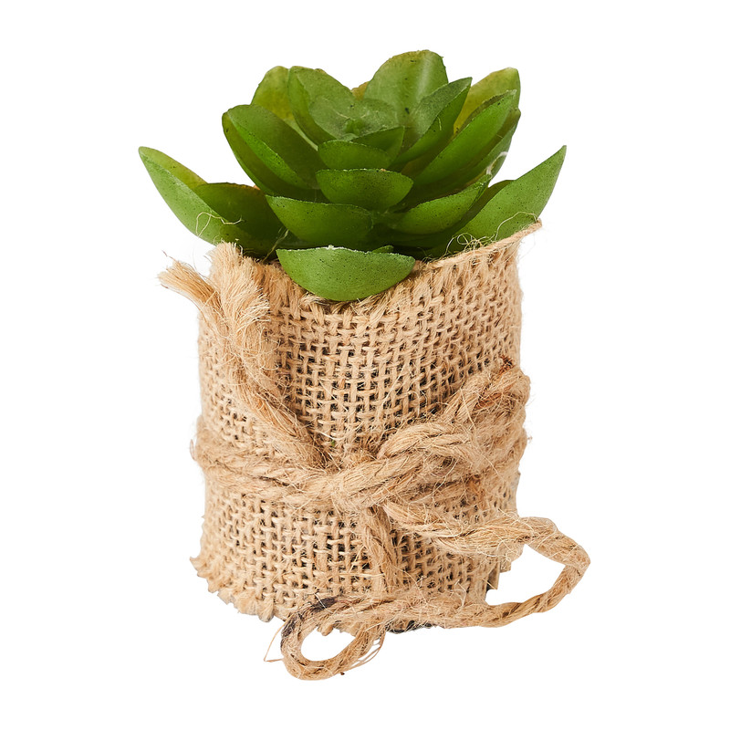 Vetplant met jute rand - diverse varianten