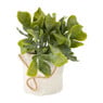 Kunstplantje in jute zakje - diverse varianten