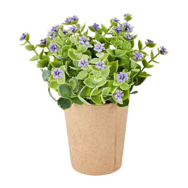Plantje met paarse bloemetjes - ⌀6x20 cm