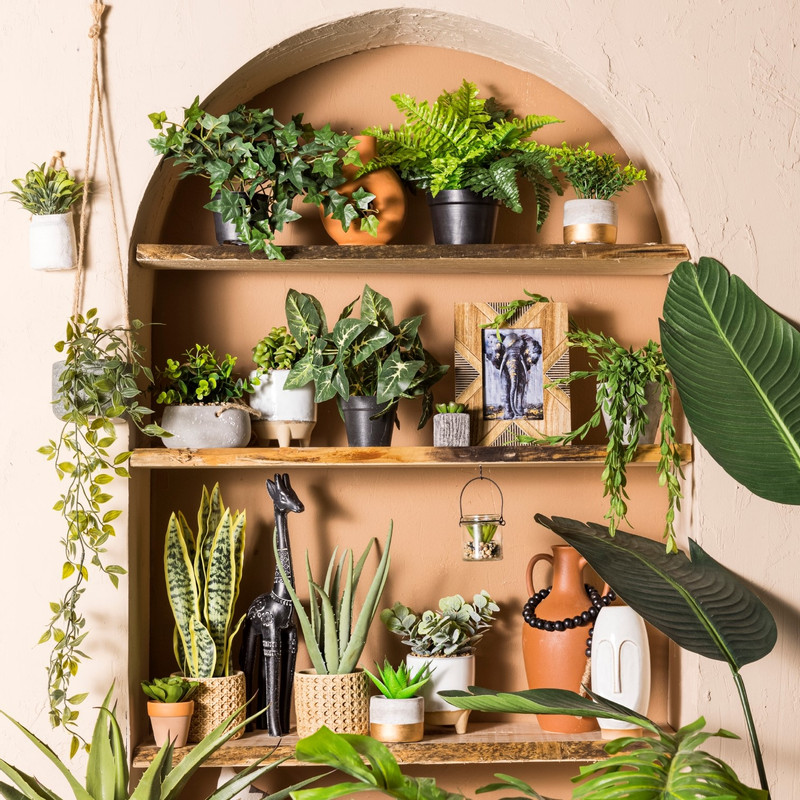 Hangplantje in potje - lang blad