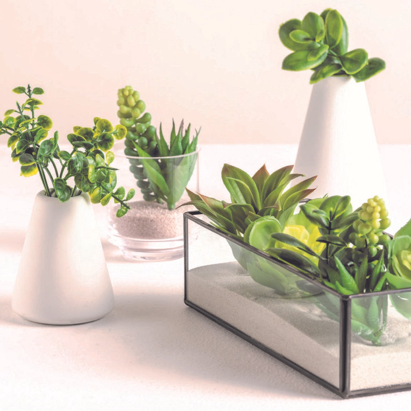 Planten takjes - set van 6