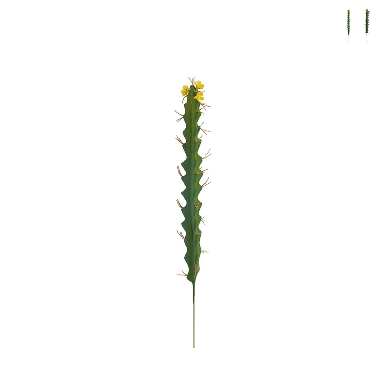 Cactus op prikker - 3.5x3.5x27 cm - diverse varianten