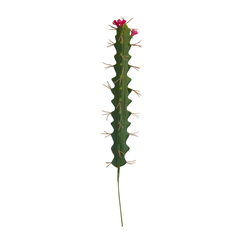 Cactus op prikker - 3.5x3.5x27 cm - diverse varianten