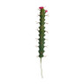 Cactus op prikker - 3.5x3.5x27 cm - diverse varianten