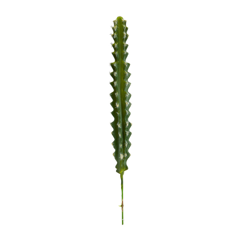 Cactus op prikker - 4x4x31 cm - diverse varianten