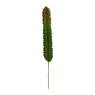Cactus op prikker - 4x4x31 cm - diverse varianten