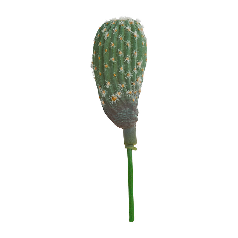 Cactus bol op prikker -6x6x18 cm - diverse varianten