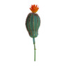 Cactus bol op prikker -6x6x18 cm - diverse varianten