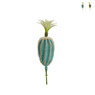 Cactus bol op prikker - 8x8x22 cm - diverse varianten