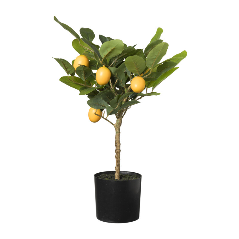 Citroenboompje - kunstplant - 45 cm