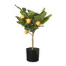 Citroenboompje - kunstplant - 45 cm