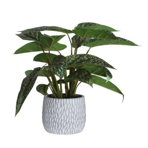 Kunstplant in pot - syngonium - 39 cm