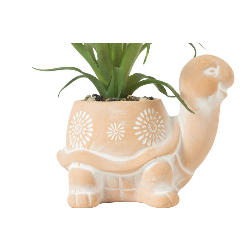 Plant in schildpad pot - 13.5x10.5x15 cm