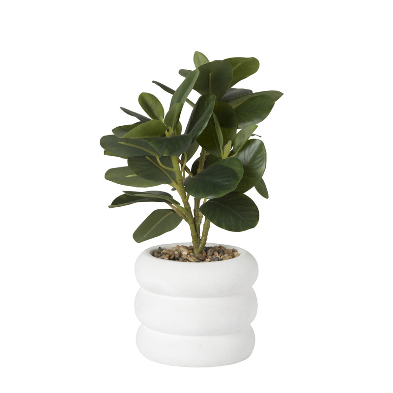 Plant in pot ribbel - diverse varianten - ø12x27 cm
