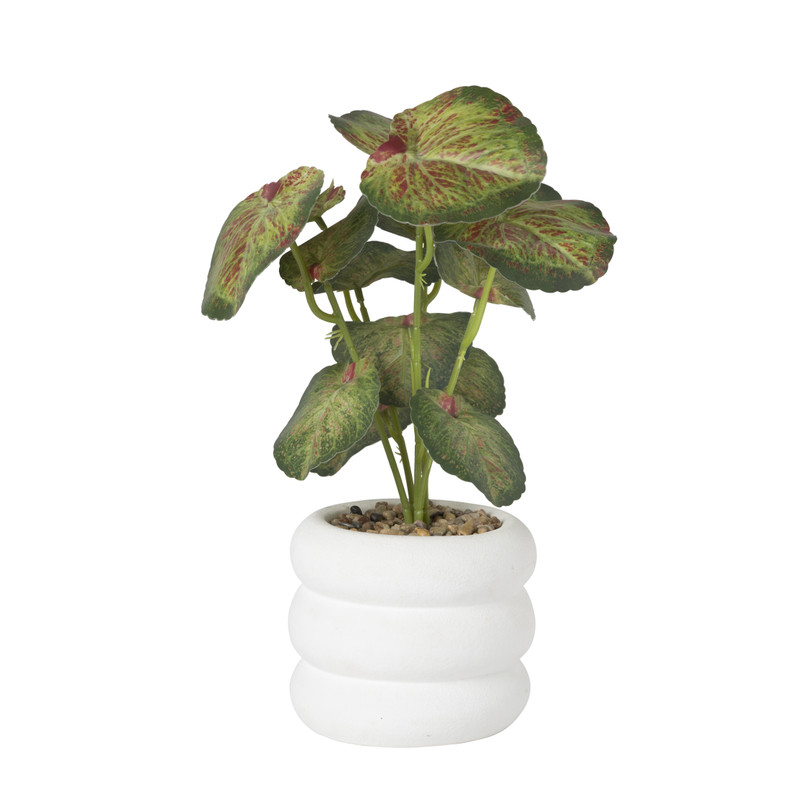 Plant in pot ribbel - diverse varianten - ø12x27 cm