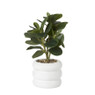 Plant in pot ribbel - diverse varianten - ø12x27 cm