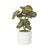 Plant in pot ribbel - diverse varianten - ø12x27 cm