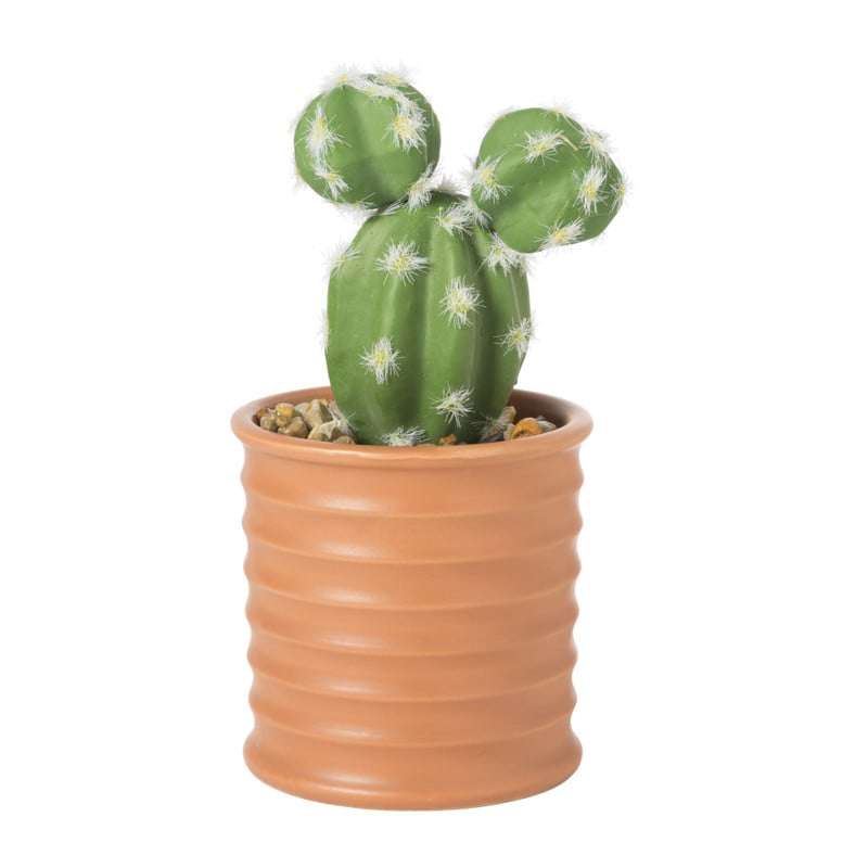 Vetplantje in pot - diverse varianten - ø8 x 16 cm